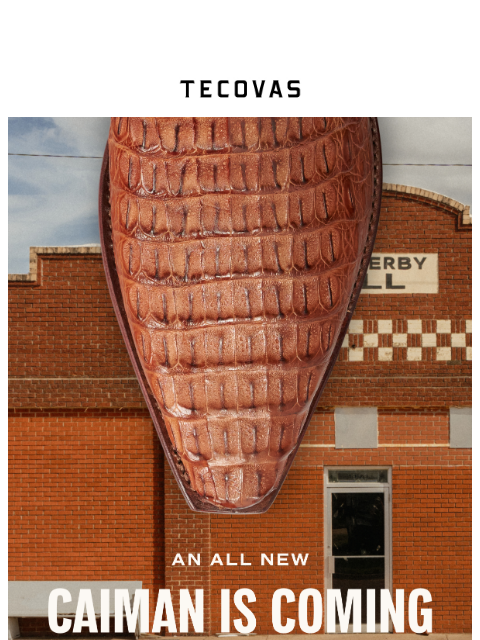 tecovas newsletter: Announcing a NEW exotic boot