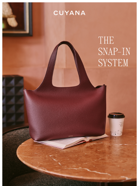 cuyana newsletter: How it Works: Snap-In Accessories