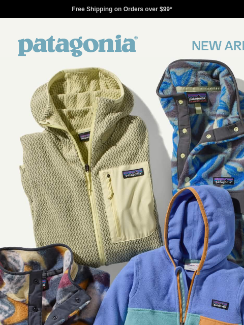 patagonia newsletter: New fall colors and patterns