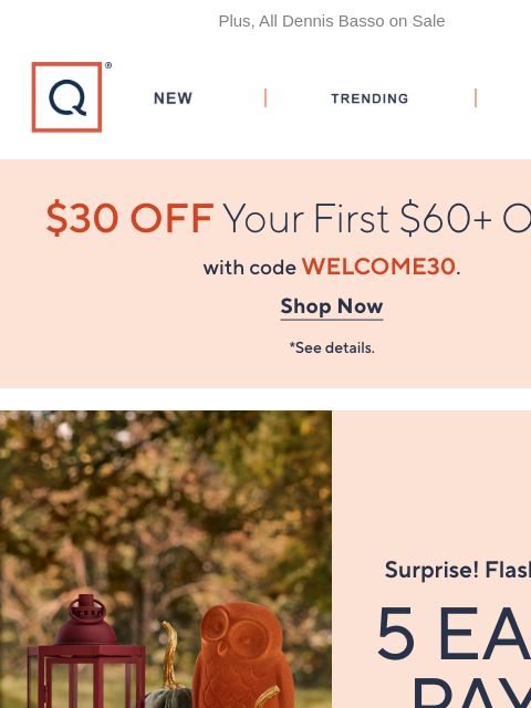 qvcemail newsletter: Thru Tonight! 5 Easy Pays on Everything