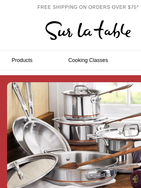 surlatable newsletter: Over $500 off select All-Clad.
