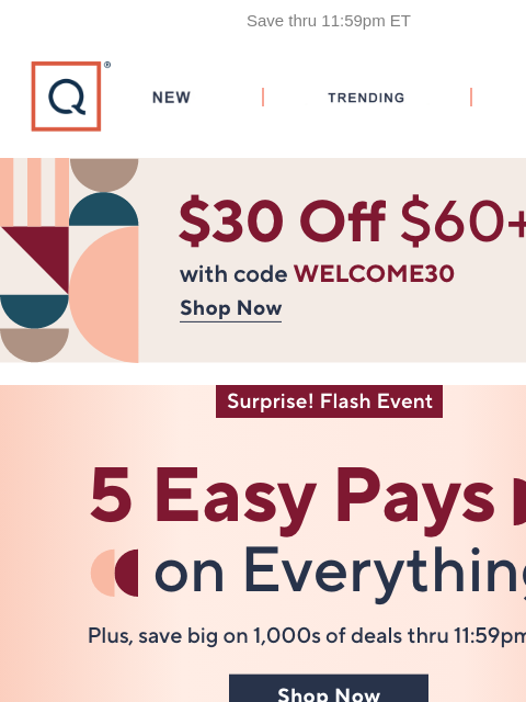 qvcemail newsletter: Labor Day Flash! 5 Easy Pays & Sale