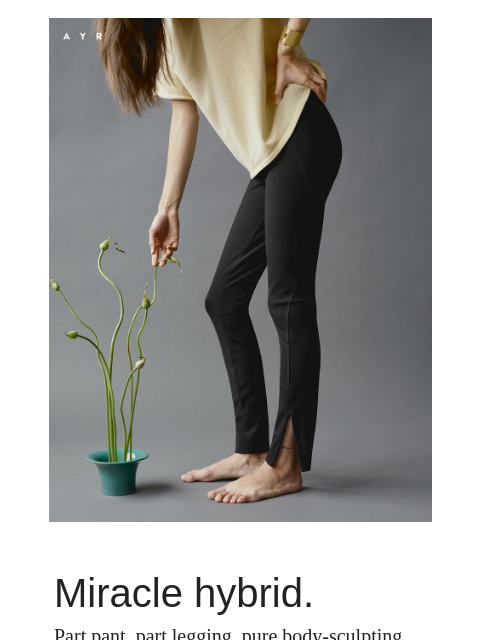 ayr newsletter: whatever you call this pant