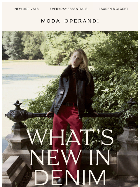 modaoperandi newsletter: The DENIM Guide
