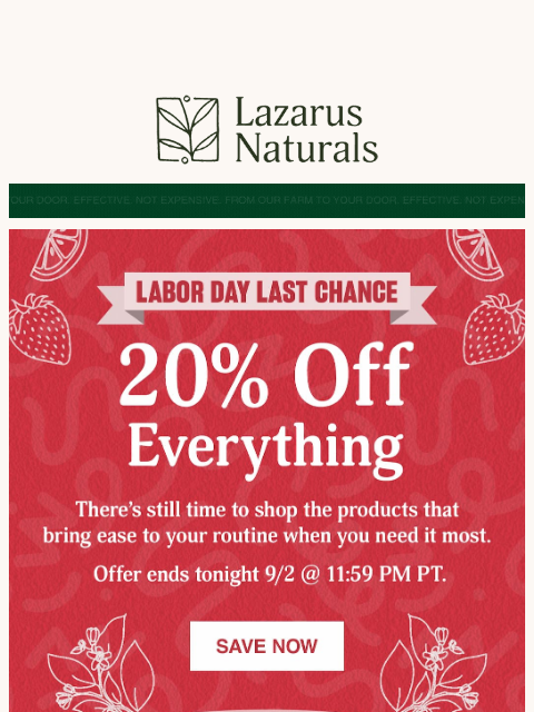 lazarusnaturals newsletter: ⏳ Final Hours—20% Off Sitewide Ends Tonight