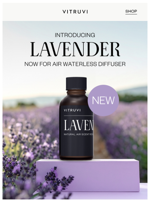 vitruvi newsletter: NEW: Lavender, Reimagined For Air 🪻