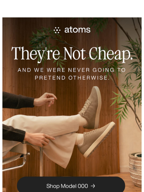 atoms newsletter: They're Not Cheap