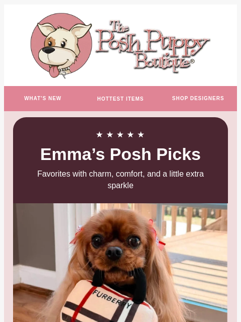 poshpuppyboutique newsletter: Emma’s Posh Picks: Don’t Miss Her Favorites