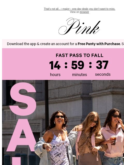 vspink newsletter: 🚨 Today Only: 40% Off (or More 👀)