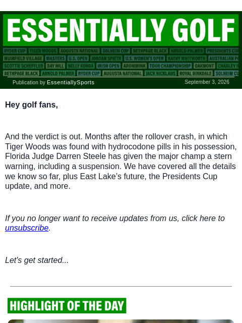 newsbreakexpress newsletter: Tiger’s Driving License Suspended