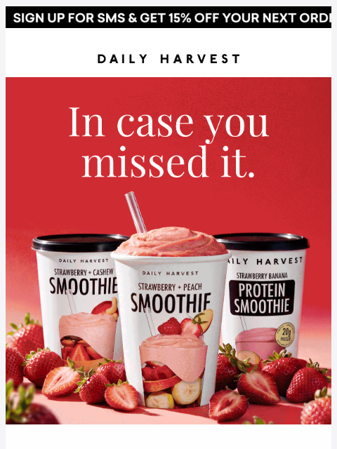 daily-harvest newsletter: ICYMI: so much newness!