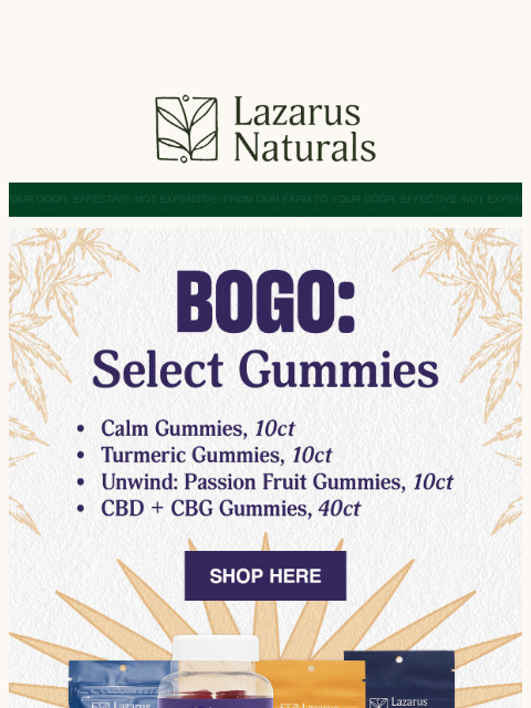 lazarusnaturals newsletter: 🍬 Add 2, Get One Free on Select Gummies