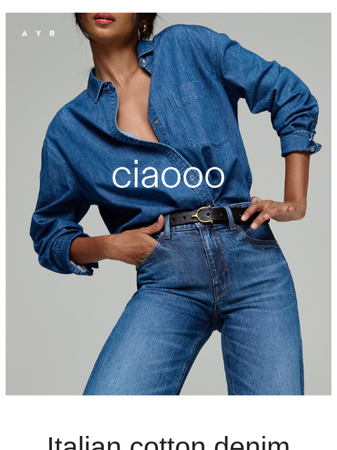ayr newsletter: the denim shirt