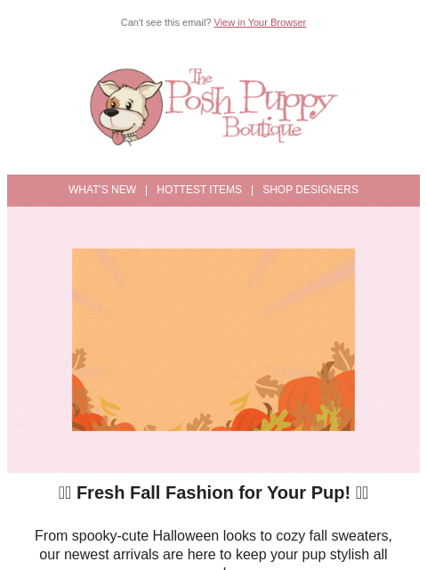 poshpuppyboutique newsletter: 🍂👻 New Sweaters & Spooky Dresses Just Landed!