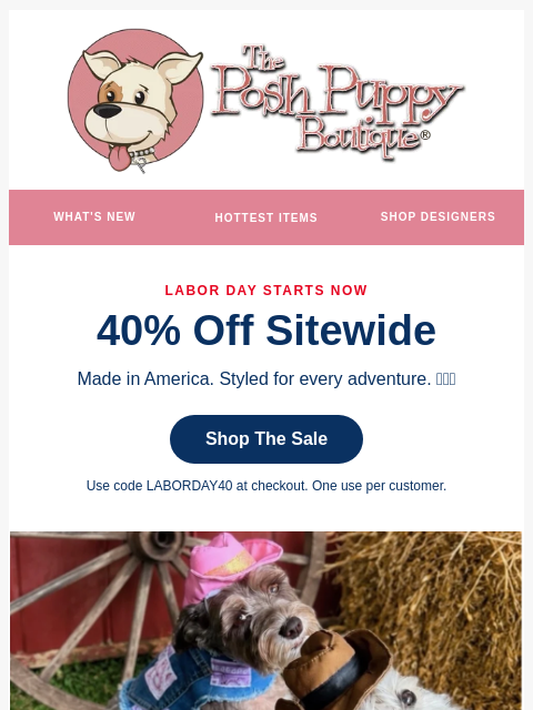 poshpuppyboutique newsletter: We Probably Shouldn’t Be Doing This… 👀
