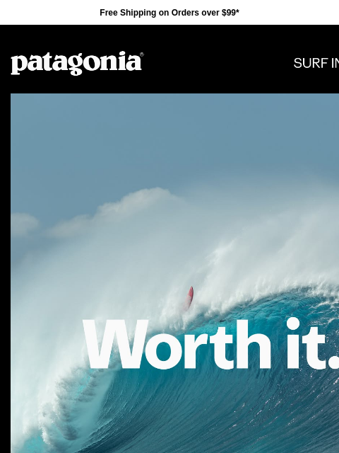 patagonia newsletter: We do it because it’s worth it