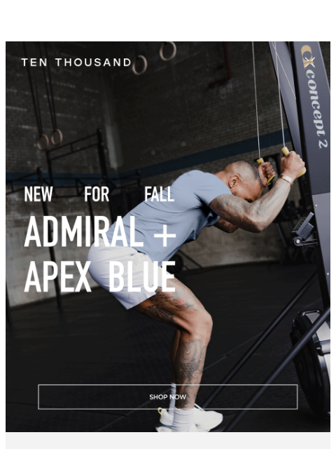 tenthousand newsletter: Fresh Blues. Best Sellers.