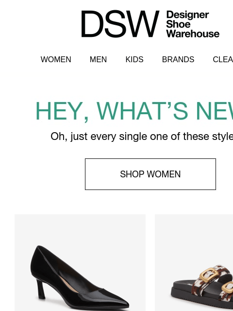 dsw newsletter: Nice to meet NEW 👋