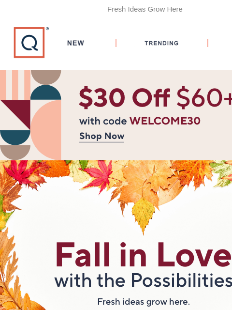 qvcemail newsletter: Welcome Fall: Style, Beauty & Home