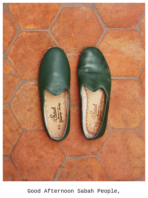 sabah newsletter: Denali Green ⛰️ Restocked for Fall!