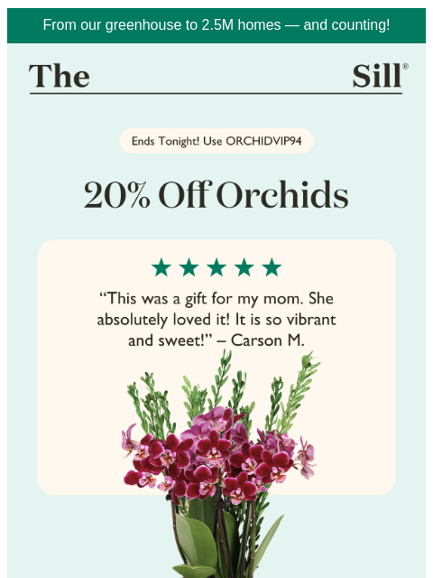 thesill newsletter: Friday + 20% Off Orchids = Fri-Yay