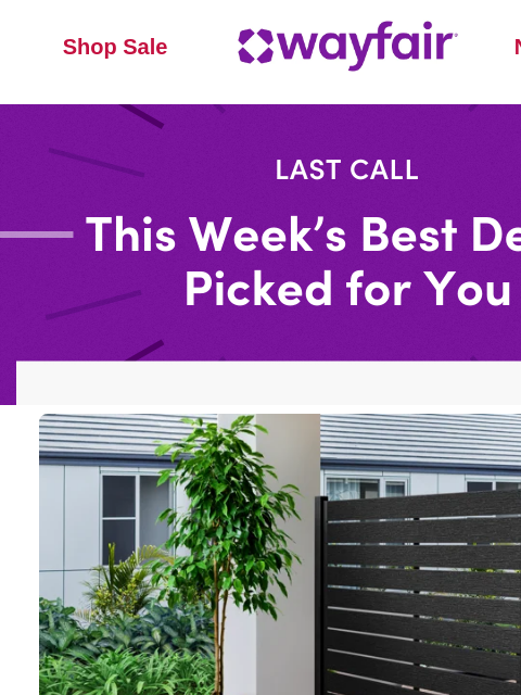 wayfair newsletter: BLACK OUTDOOR PRIVACY SCREENS 🔎 Find one that's a...