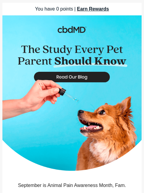 cbdmd newsletter: Your Pet's Pain Matters This September