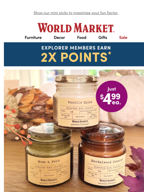 emailworldmarket newsletter: Only $4.99? ✨✨✨