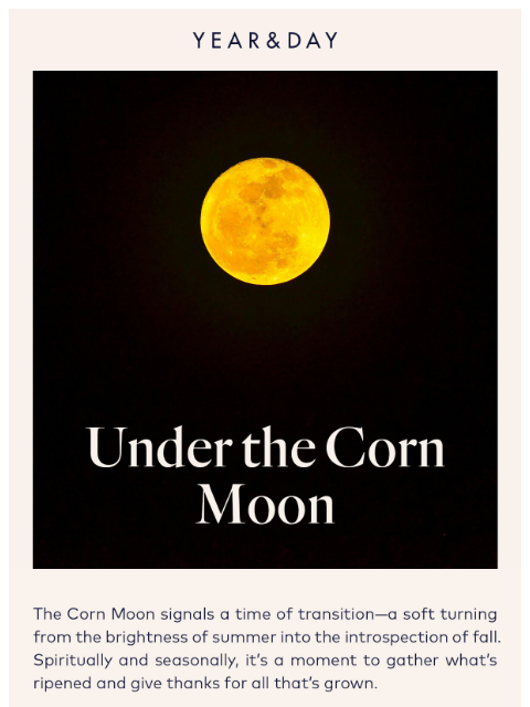 yearandday newsletter: The last full moon of summer 🌽🌕