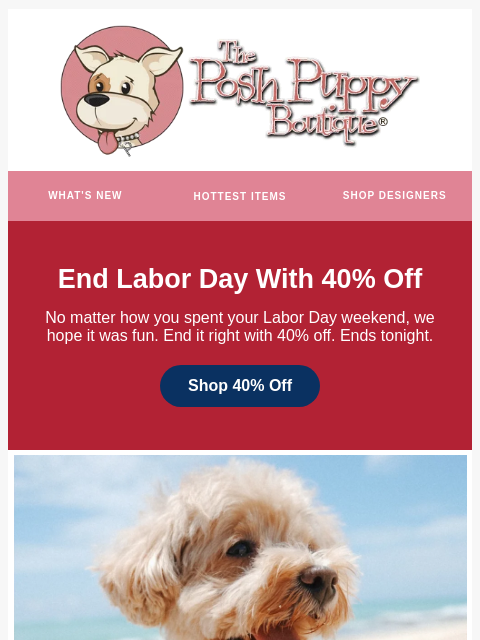 poshpuppyboutique newsletter: Labor Day 40% Off Ends Tonight