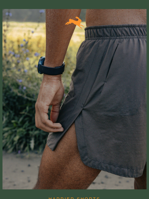 tracksmith newsletter: 10 Years in the Making: Harrier Short