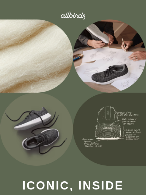 allbirds newsletter: Newer. Cushier. Kiwi-er.