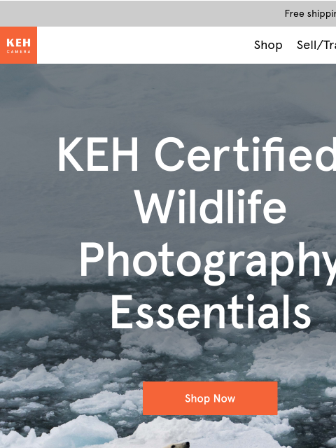 keh newsletter: Shop wildlife photography essentials 📸