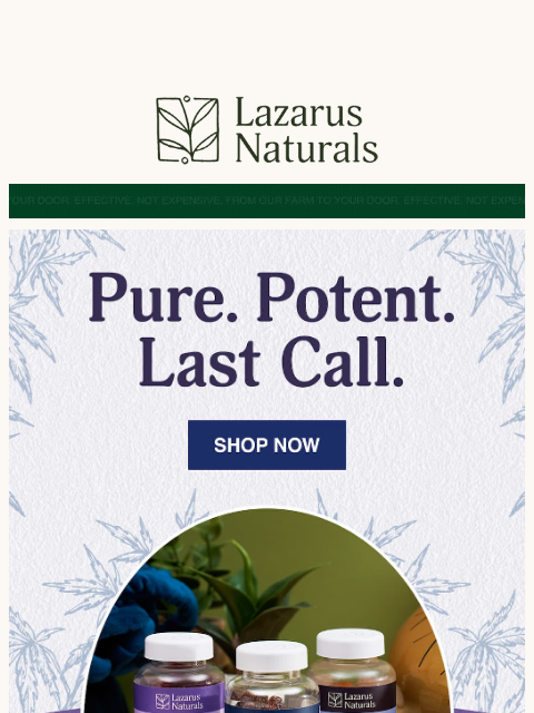 lazarusnaturals newsletter: ⏰ Last call for Pure & Potent savings
