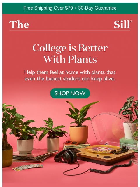 thesill newsletter: Care Packages, Upgraded