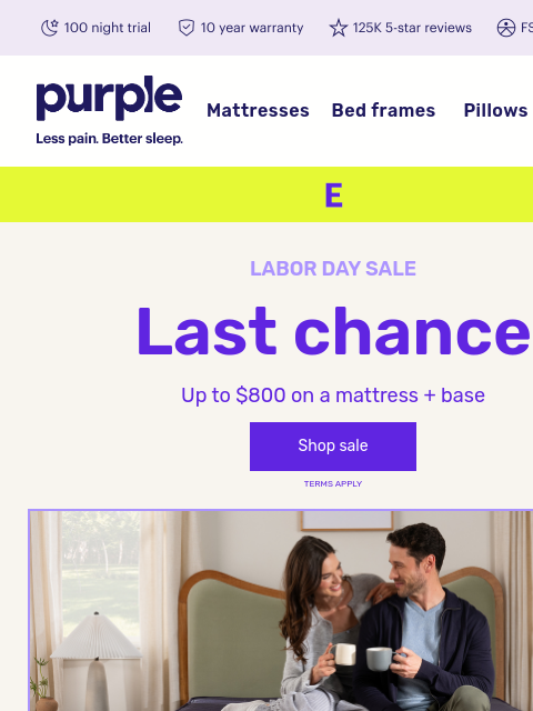 purple newsletter: LAST CHANCE