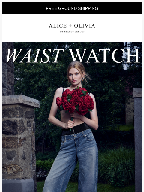 aliceandolivia newsletter: The New Corset Jean!!!!