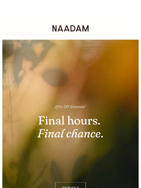 naadam newsletter: Final Call: 20% off fall cashmere favorites