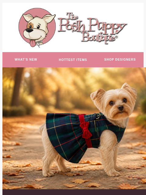 poshpuppyboutique newsletter: Get Their Size Before Someone Else Does…
