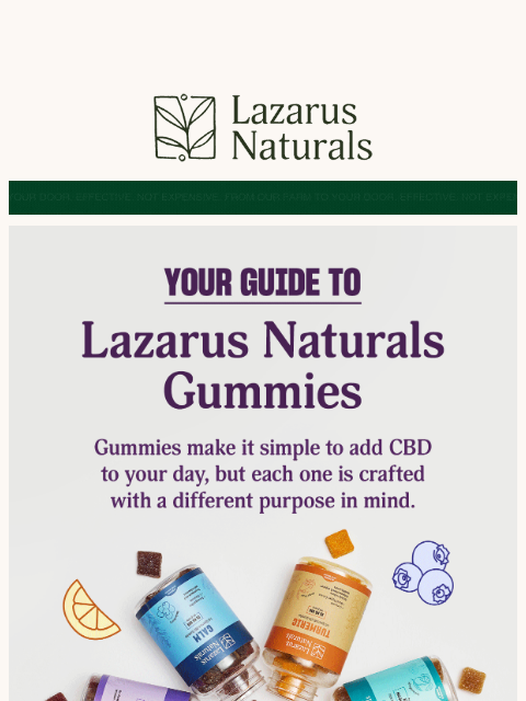 lazarusnaturals newsletter: 🍬Which gummies are right for you?