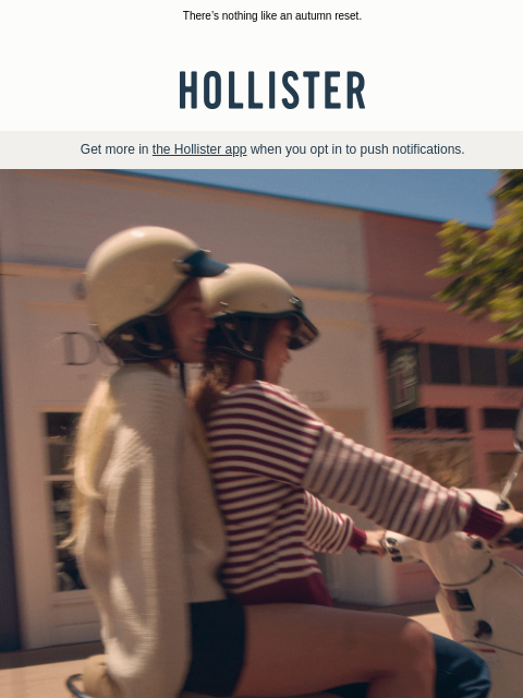 hollisterco newsletter: New cozy sweaters 🍂