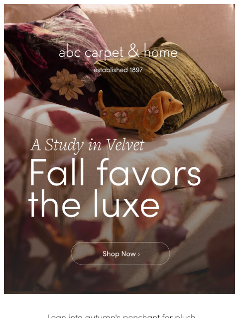 abchome newsletter: Autumn Accents: A Study in Velvet