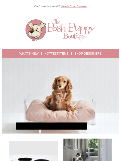 Shop the latest arrivals at Posh Puppy ͏ ͏ ͏ ͏ ͏ ͏ ͏ ͏ ͏ ͏ ͏ ͏ ͏ ͏ ͏ ͏ ͏ ͏ ͏ ͏ ͏ ͏ ͏ ͏ ͏ ͏ ͏ ͏ ͏ ͏ ͏ ͏ ͏ ͏ ͏ ͏ ͏ ͏ ͏ ͏ ͏ ͏ ͏ ͏ ͏ ͏ ͏ ͏ ͏ ͏ ͏ ͏ ͏ ͏ ͏ ͏ ͏ ͏ ͏ ͏ ͏ ͏ ͏ ͏ ͏ ͏ ͏ ͏ ͏ ͏ ͏ ͏ ͏ ͏ ͏ ͏ ͏ ͏ ͏ ͏ ͏