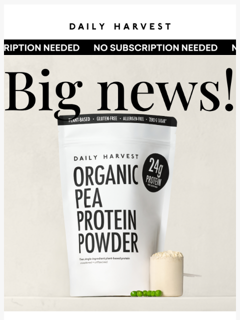 daily-harvest newsletter: ⚡No-subscription⚡ protein powder