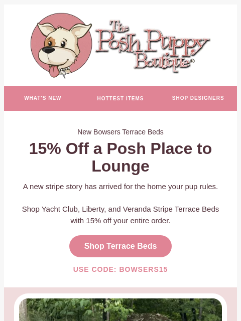 poshpuppyboutique newsletter: 15% OFF ONLY FOR YOU!
