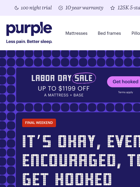 purple newsletter: Last chance to get hooked