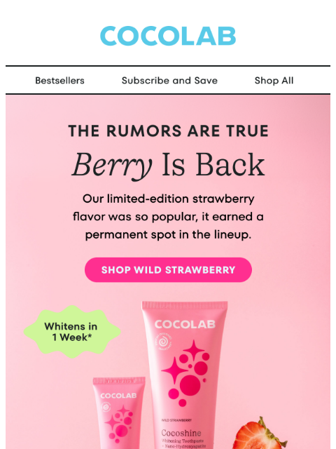 cocolab newsletter: You loved it? 🍓