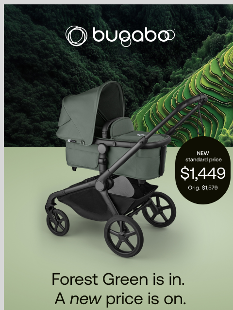 bugaboo newsletter: Forest Green just dropped