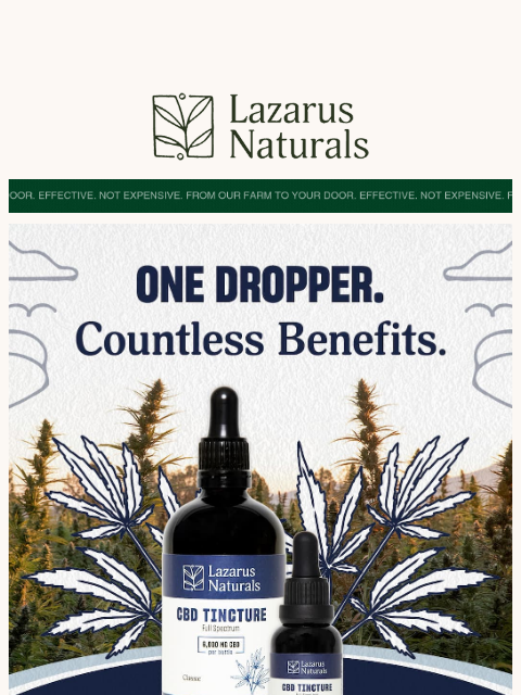 lazarusnaturals newsletter: ⚖️ Your Serving. Your Balance.