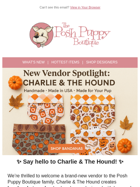 poshpuppyboutique newsletter: 🐾 Meet Our New Vendor: Charlie & The Hound!